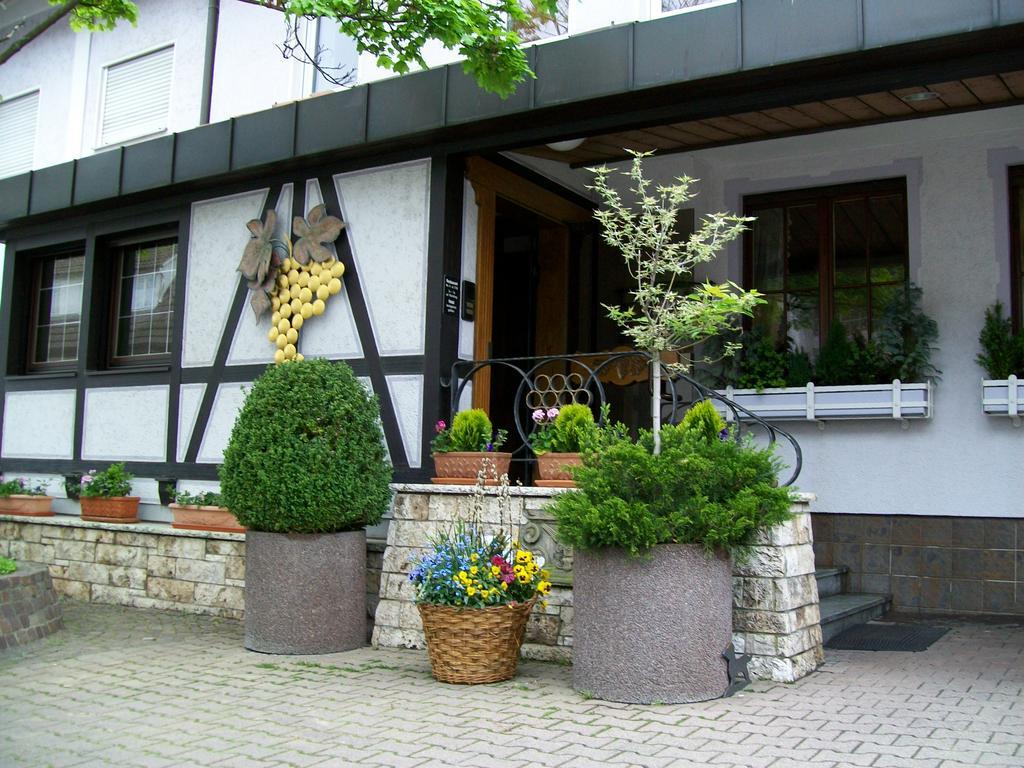Traube Kernen